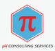 PII Consulting Services